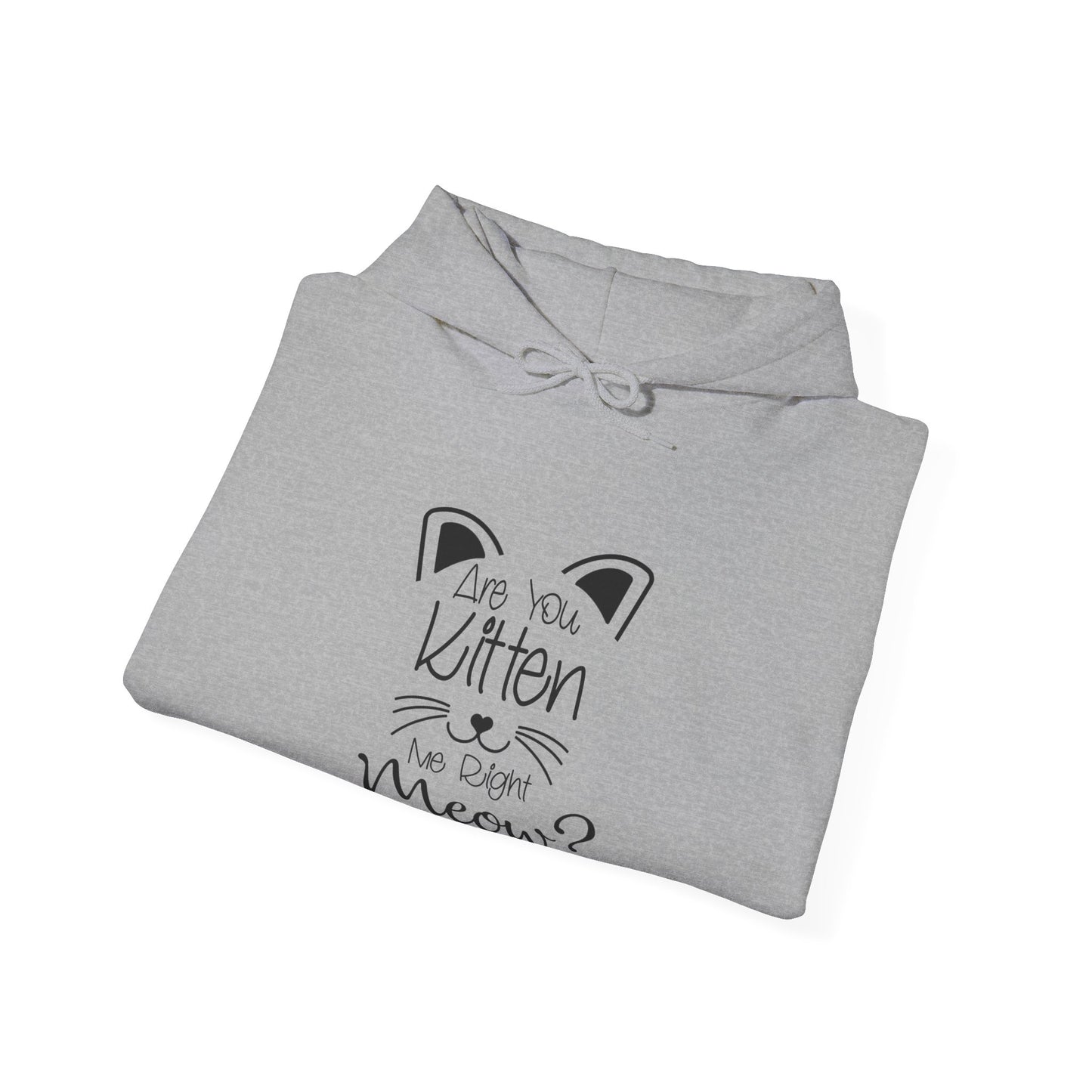 Are You Kitten Me-Heavy Blend™ Classic Hoodie