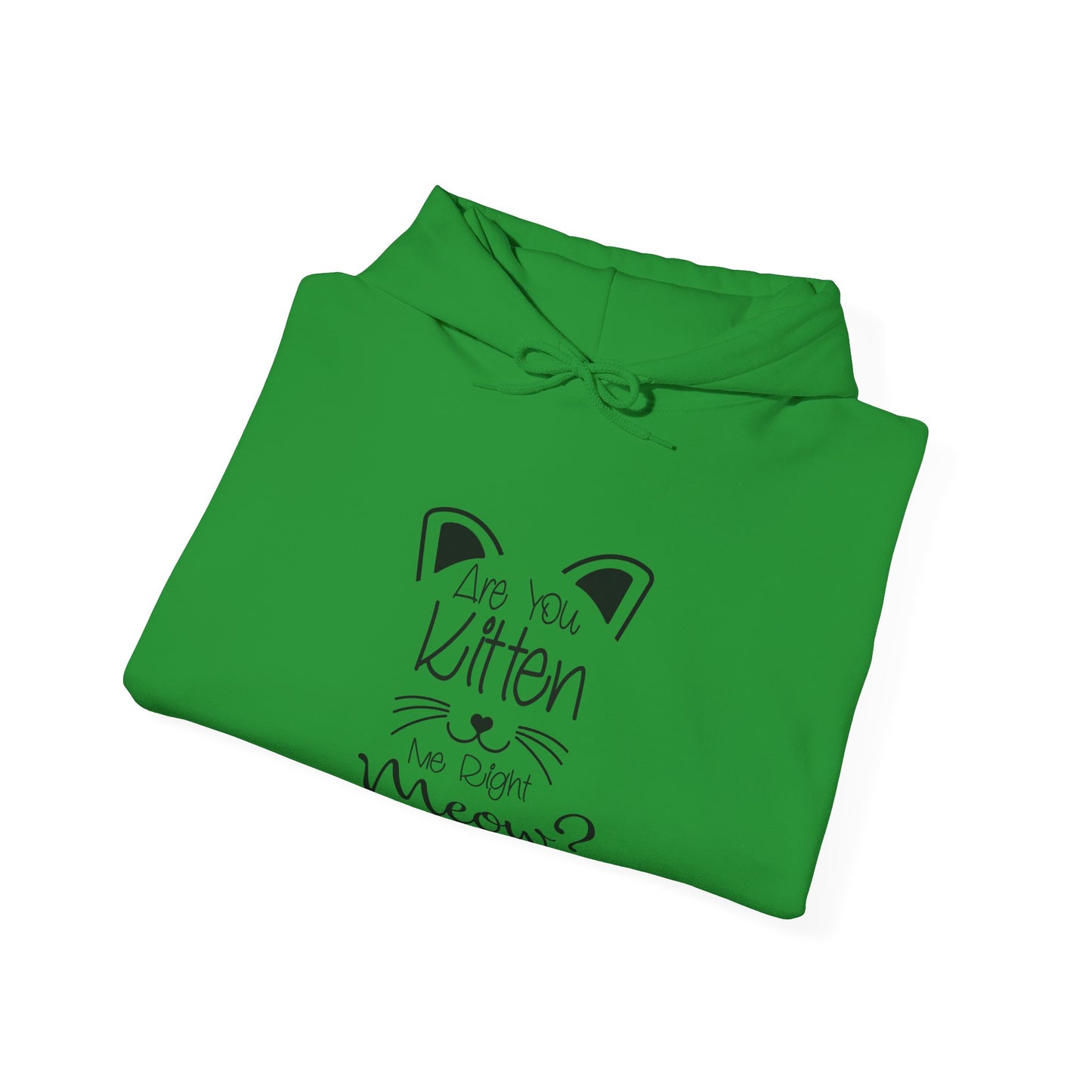 Are You Kitten Me-Heavy Blend™ Classic Hoodie