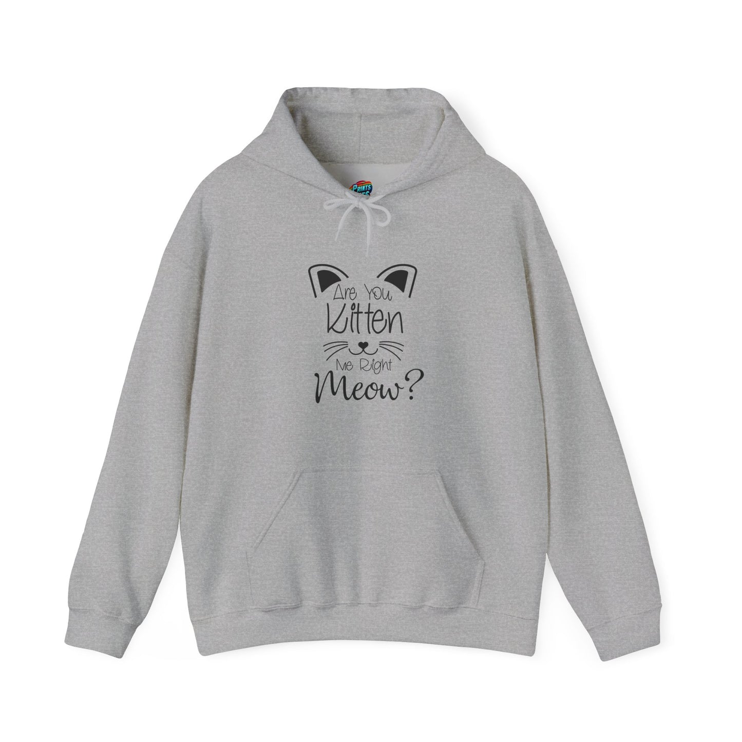 Are You Kitten Me-Heavy Blend™ Classic Hoodie