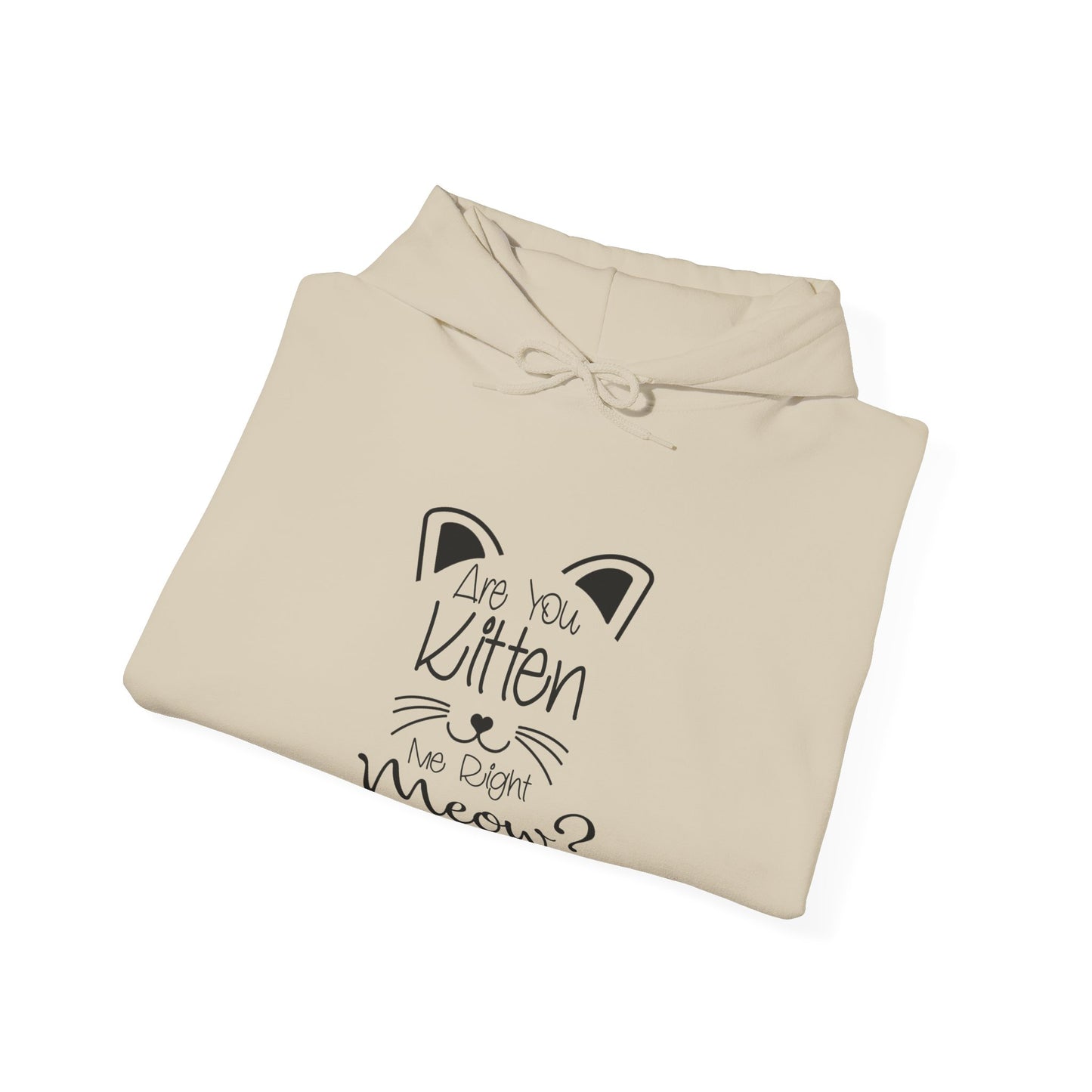 Are You Kitten Me-Heavy Blend™ Classic Hoodie