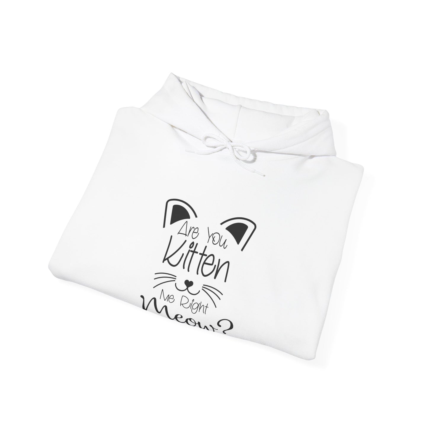 Are You Kitten Me-Heavy Blend™ Classic Hoodie