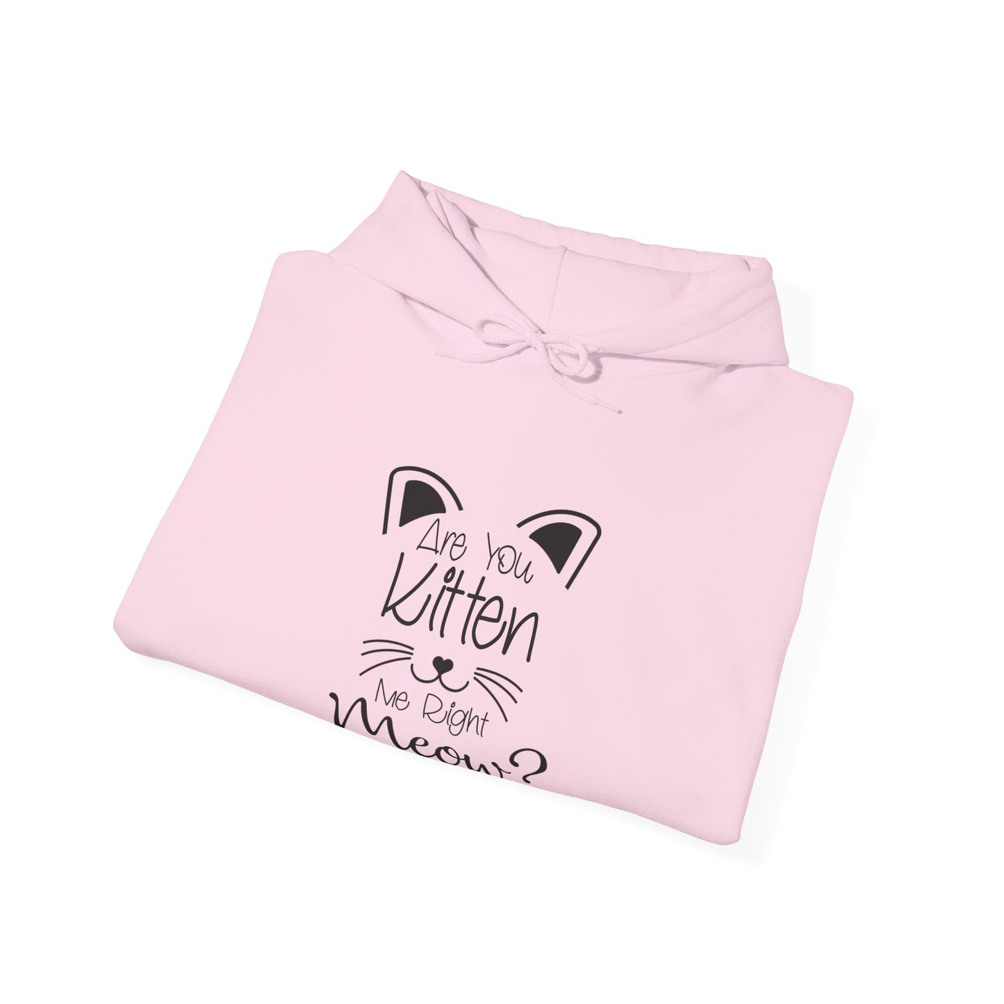 Are You Kitten Me-Heavy Blend™ Classic Hoodie