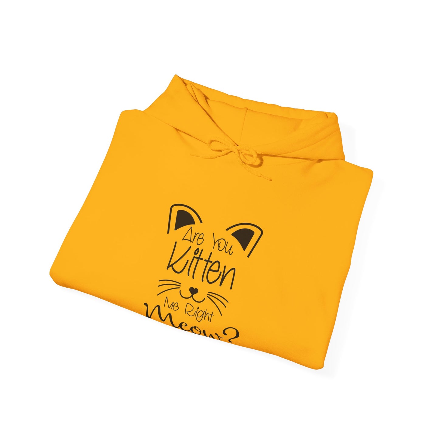 Are You Kitten Me-Heavy Blend™ Classic Hoodie
