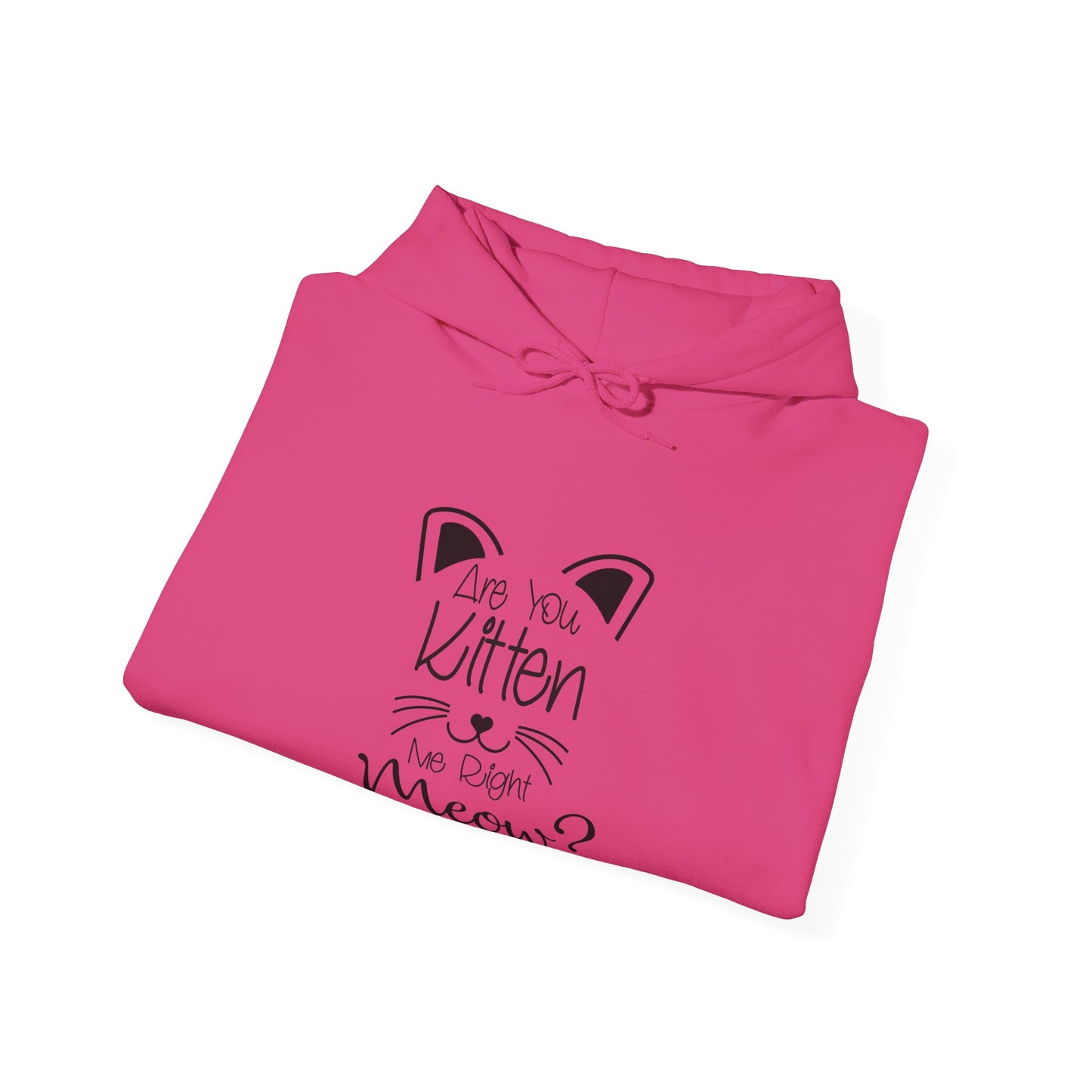 Are You Kitten Me-Heavy Blend™ Classic Hoodie
