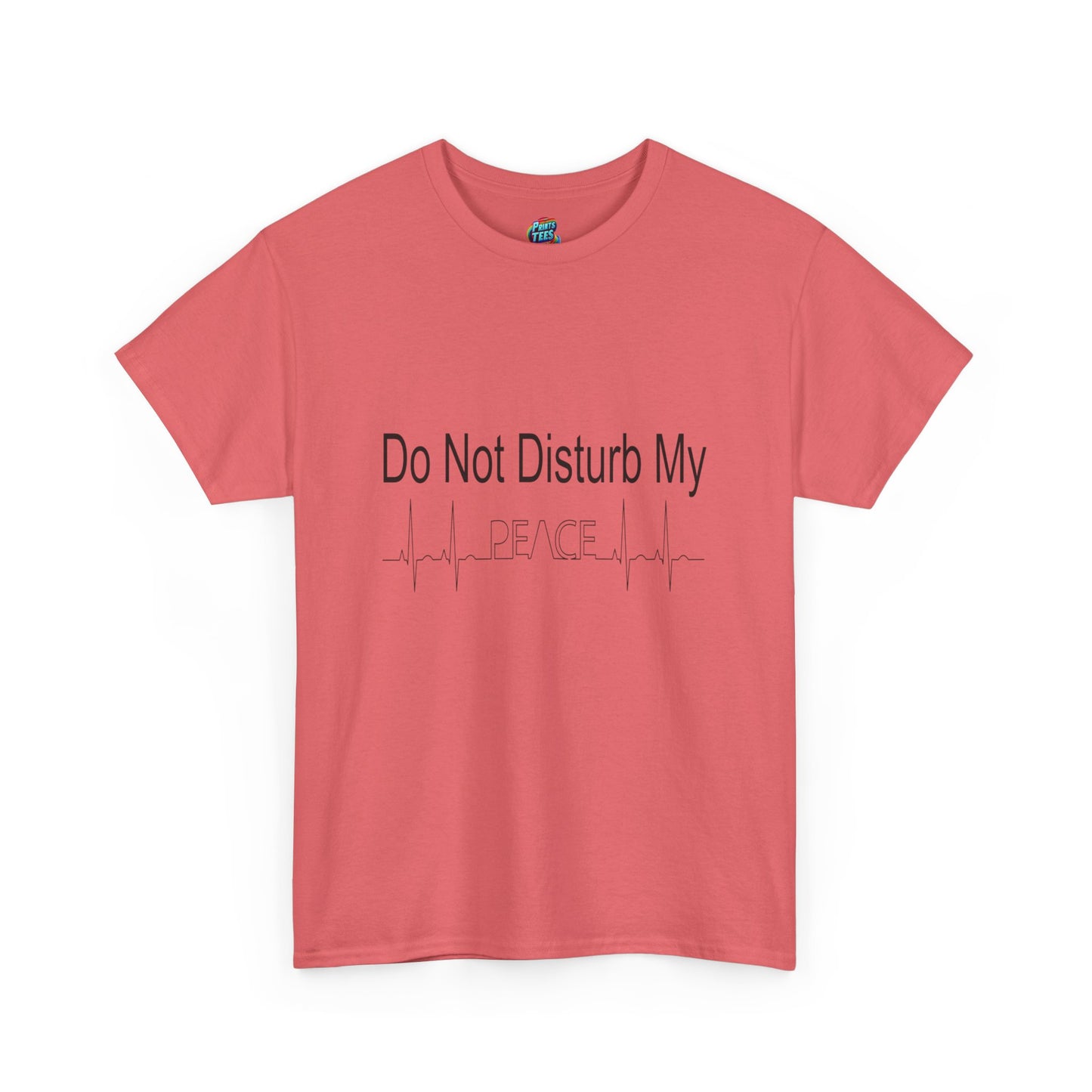 Do Not Disturb-Heavy Cotton Classic Tee