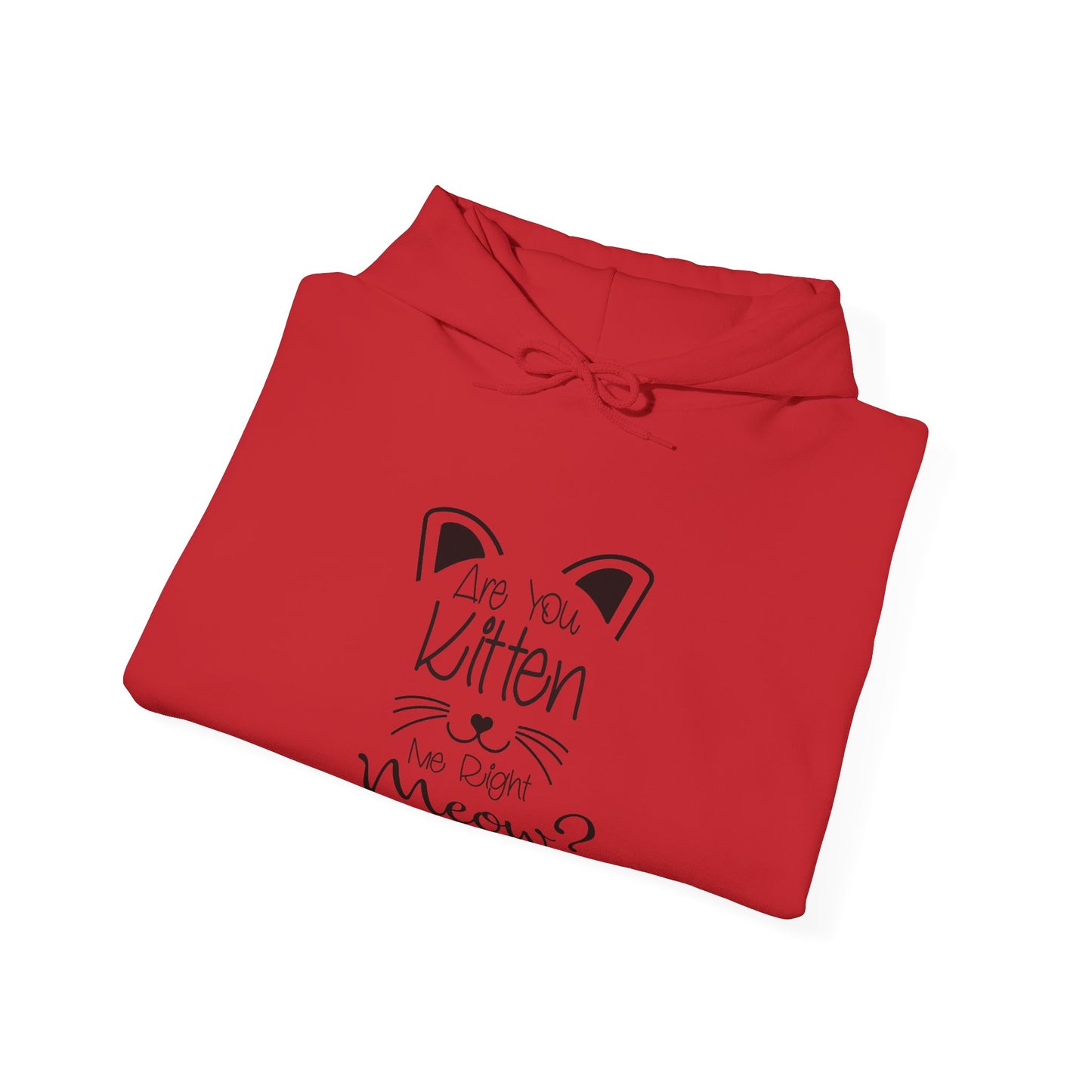 Are You Kitten Me-Heavy Blend™ Classic Hoodie