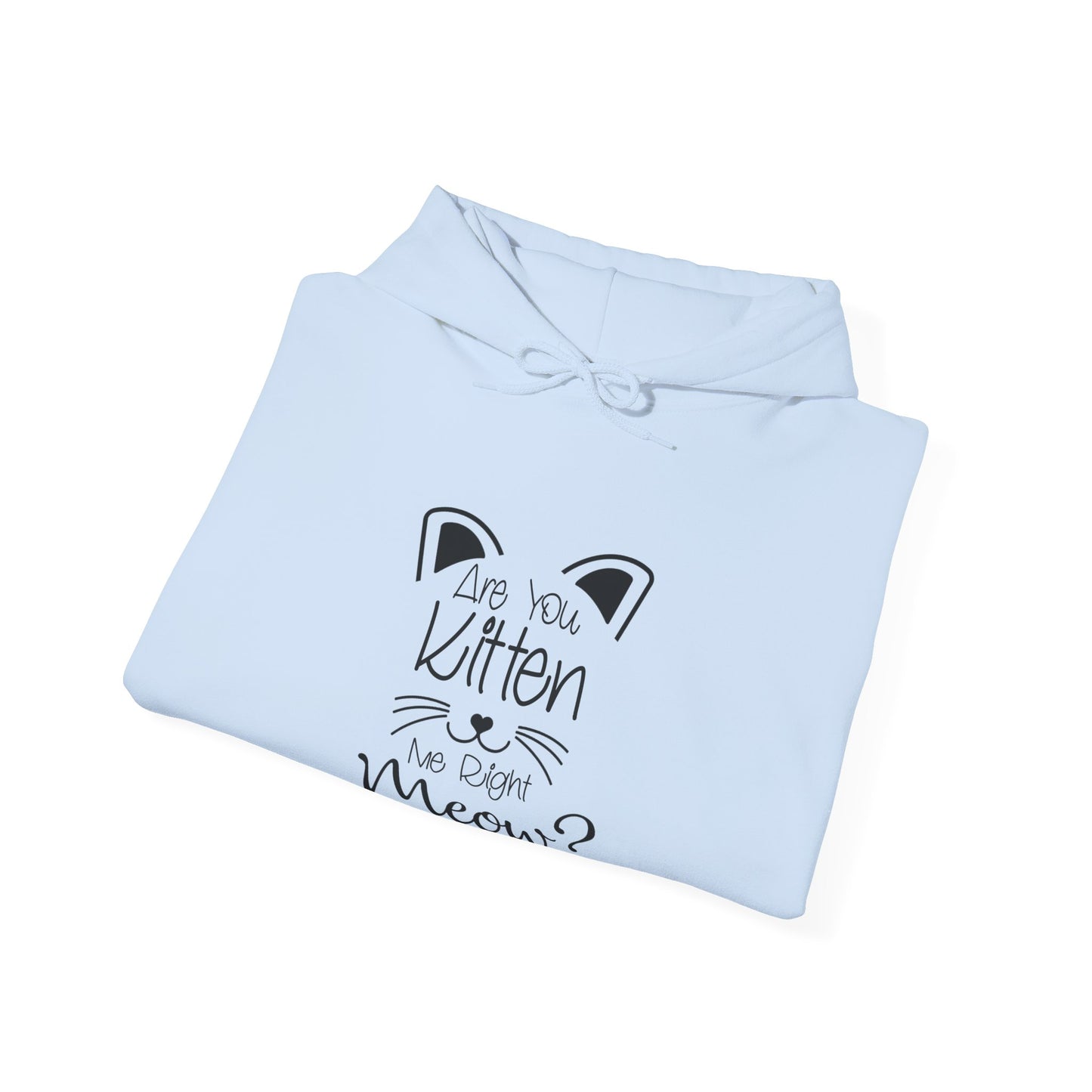 Are You Kitten Me-Heavy Blend™ Classic Hoodie