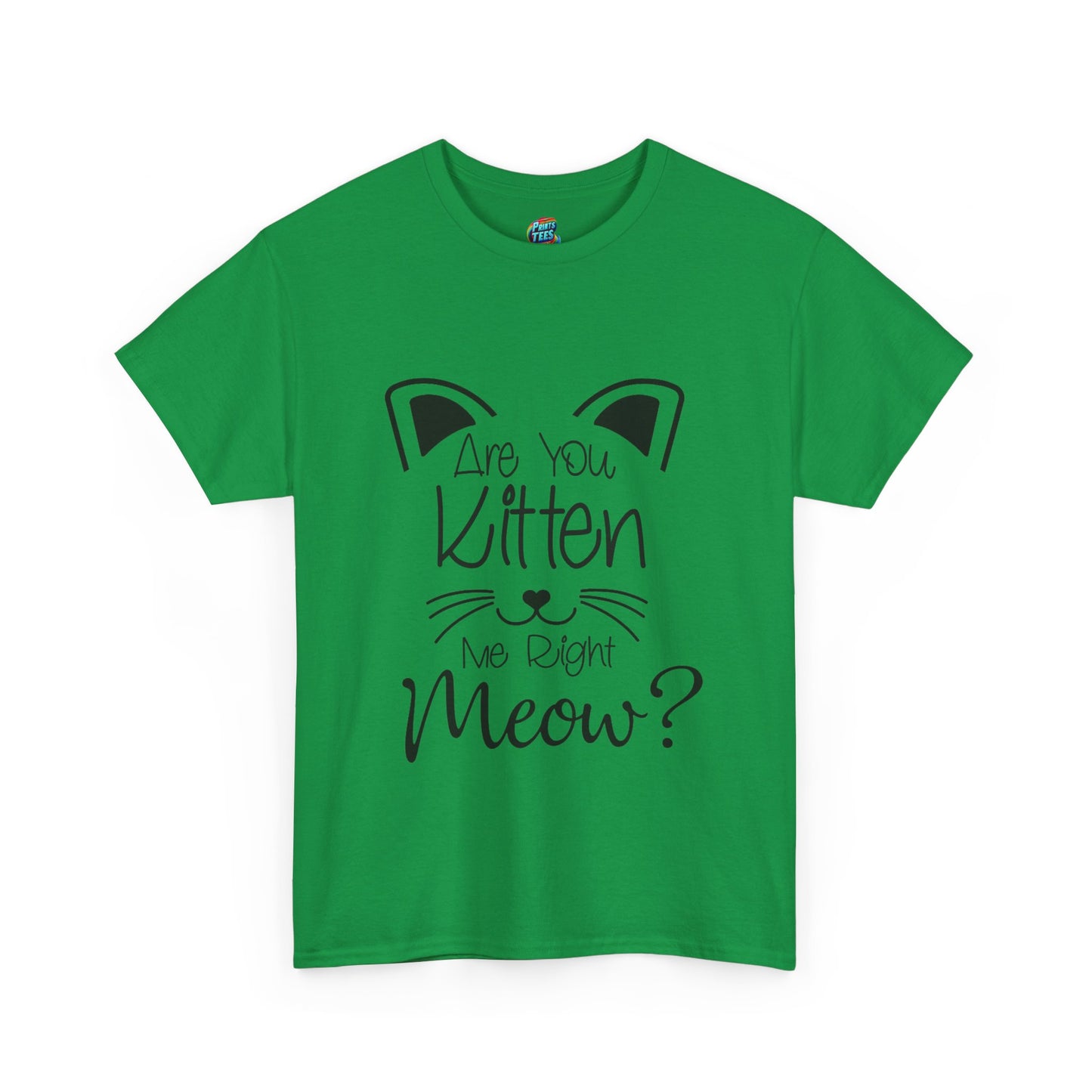 Are You Kitten Me Black-Heavy Cotton Classic Tee