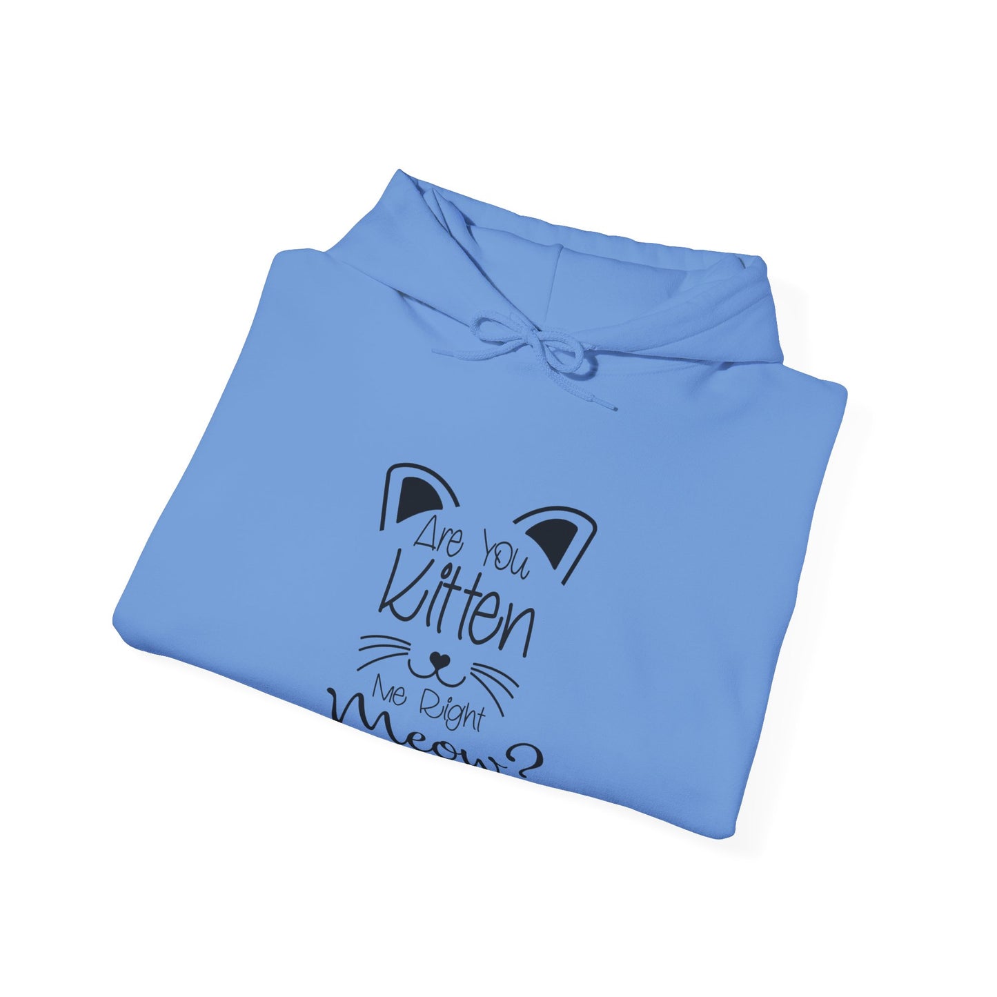 Are You Kitten Me-Heavy Blend™ Classic Hoodie