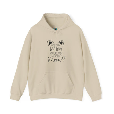 Are You Kitten Me-Heavy Blend™ Classic Hoodie