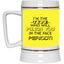 Punch You-Beer Stein 22oz.